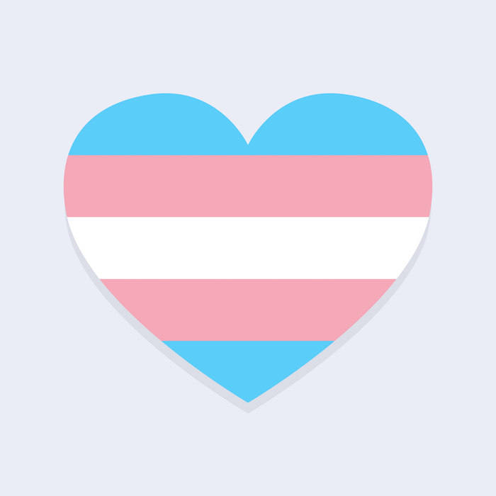 252 Heart Trans Flag